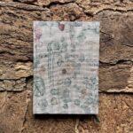 Notes Eucaliptus